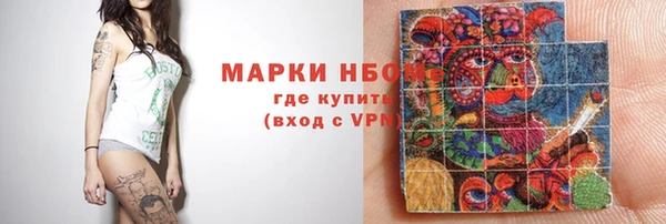 ПСИЛОЦИБИНОВЫЕ ГРИБЫ Горно-Алтайск