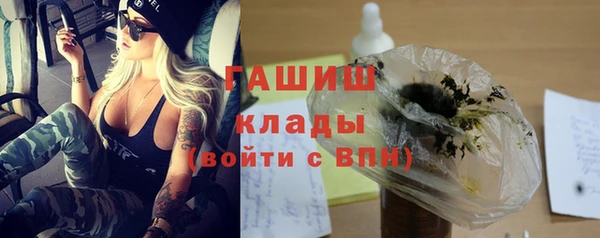 ПСИЛОЦИБИНОВЫЕ ГРИБЫ Горно-Алтайск