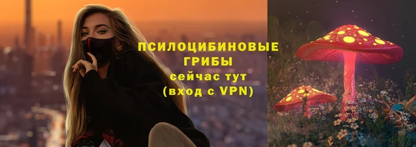 ПСИЛОЦИБИНОВЫЕ ГРИБЫ Горно-Алтайск
