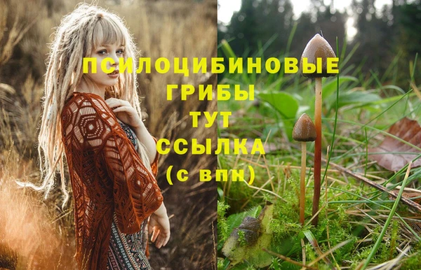 амфетамин Горнозаводск