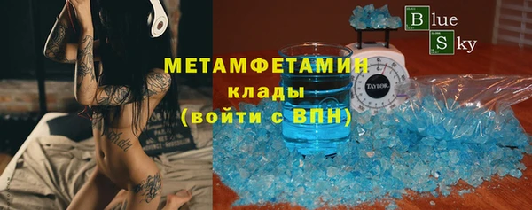ПСИЛОЦИБИНОВЫЕ ГРИБЫ Горно-Алтайск