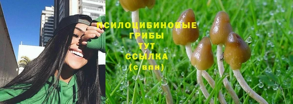 амфетамин Горнозаводск