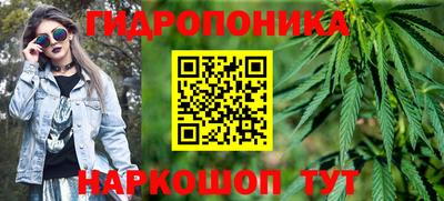 прущие грибы Ангарск