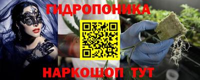прущие грибы Ангарск