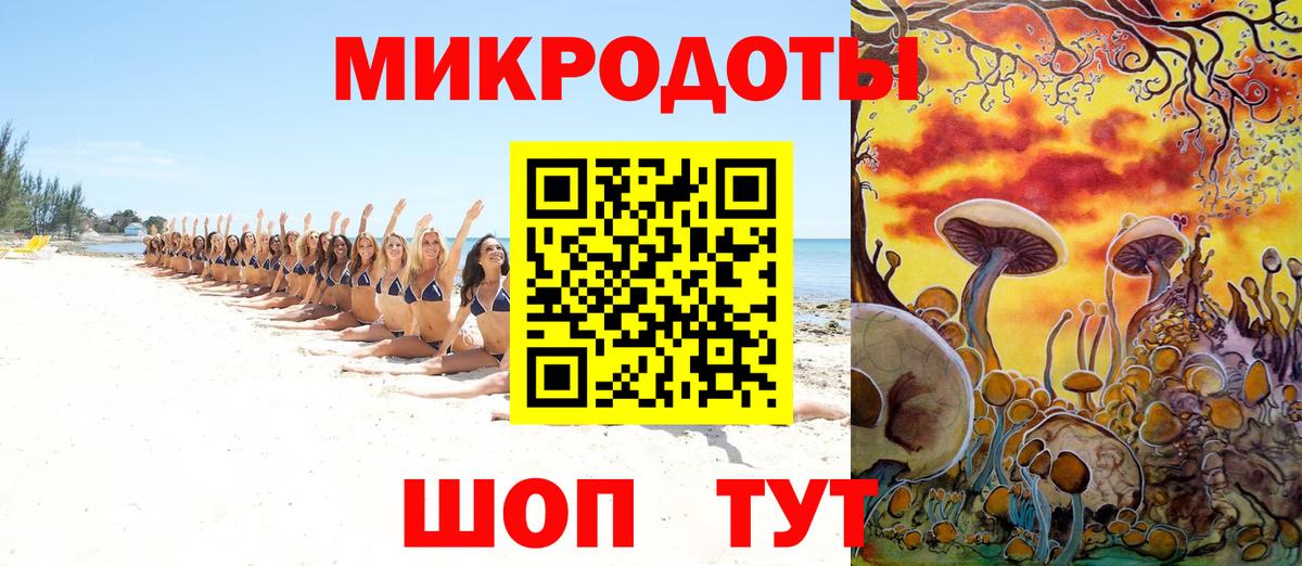 Псилоцибиновые грибы мицелий  Галлюциногенные грибы Psilocybine cubensis  Ярославль  Вход с VPN 